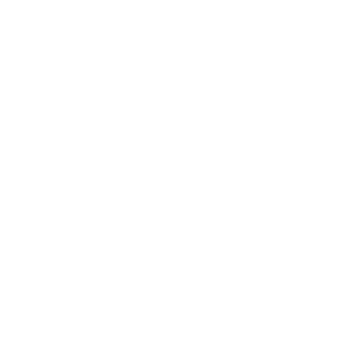 El Salvador Primera Division Icon