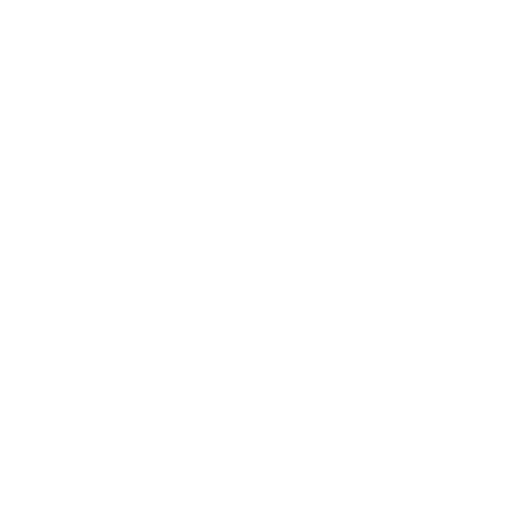 Bangladesh Premier League Icon
