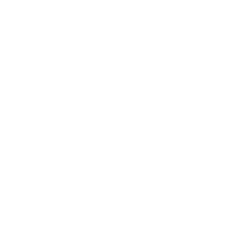 Portuguese Primeira Liga Logo