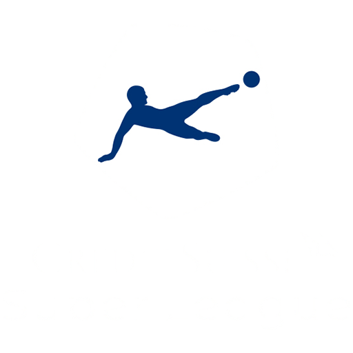 Swiss Super League Icon