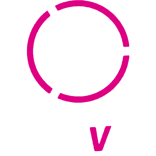 Venezuela Primera Division Icon