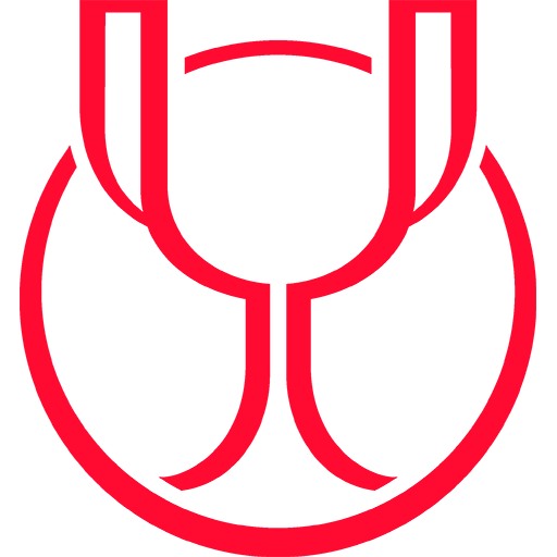 Copa del Rey Icon