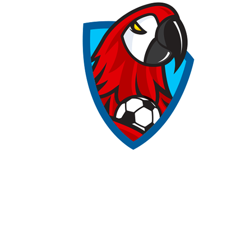 Honduras Liga Nacional de Futbol Icon