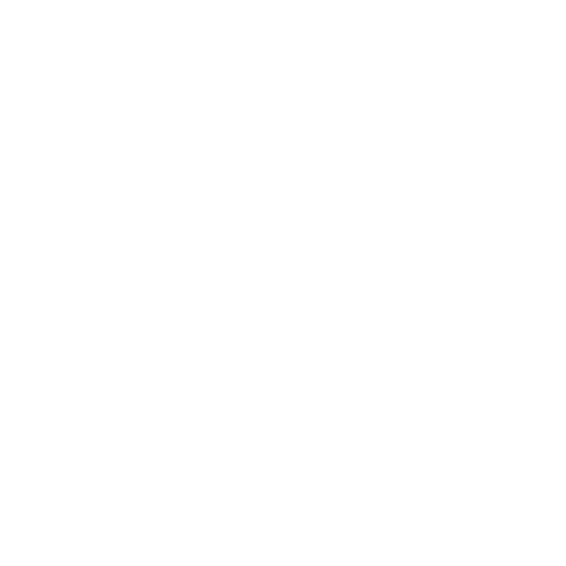 Czechia Flag