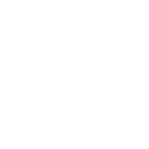 Slovakia Flag