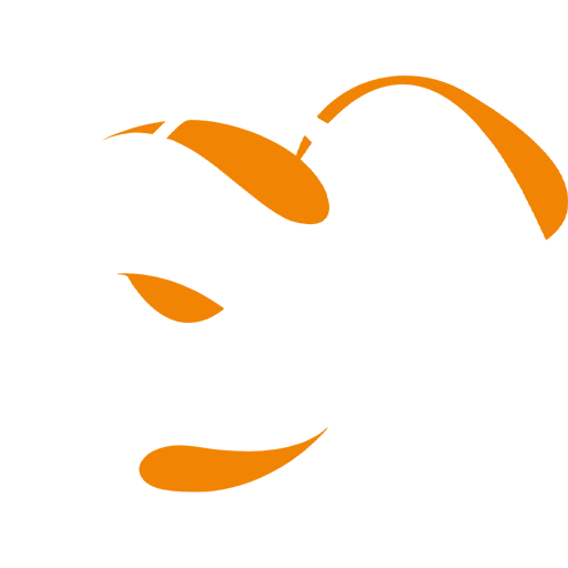 Kyrgyzstan Flag