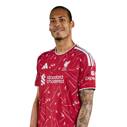 Virgil van Dijk Icon