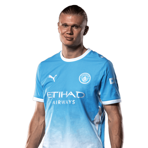 Erling Haaland Icon
