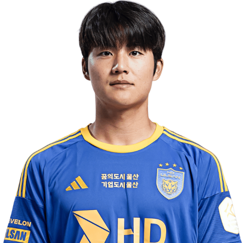 Young-woo Seol Icon