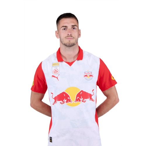 Aleksa Terzić Icon