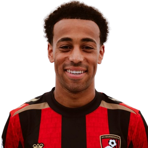 Tyler Adams Icon