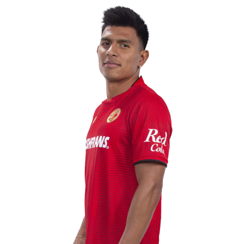 Jesús Gallardo Icon