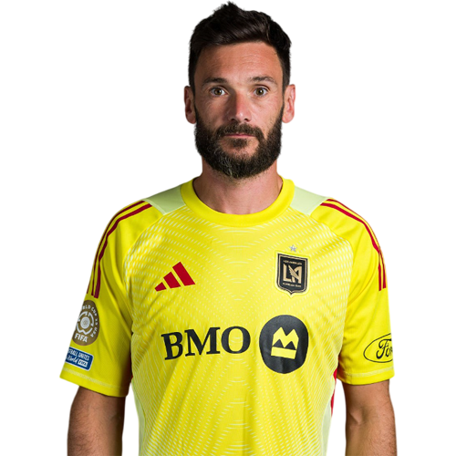 Hugo Lloris Icon