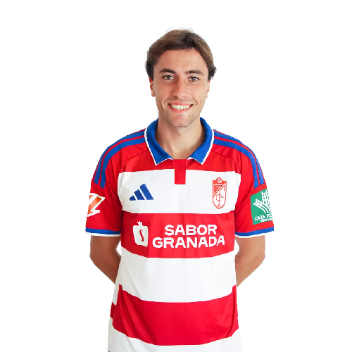 Diego Hormigo Icon