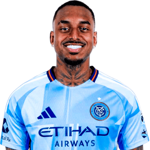 Raul Gustavo Icon