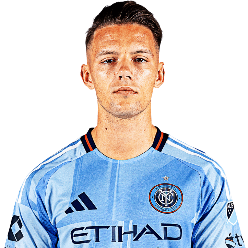Hannes Wolf Icon