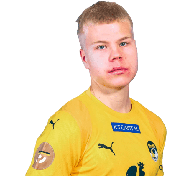 Otto Ruoppi Icon