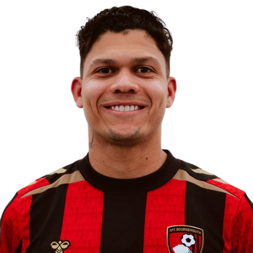 Evanilson Icon