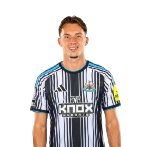 Amar Dedić Icon