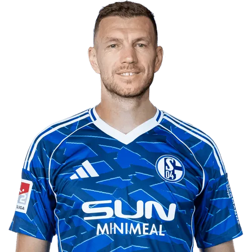 Edin Džeko Icon