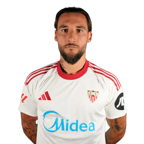 Nemanja Gudelj Icon