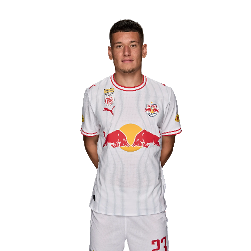 Damir Redzic Icon