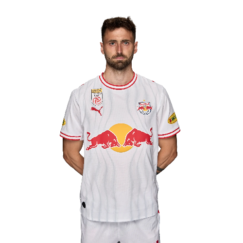 Dominik Schmid Icon