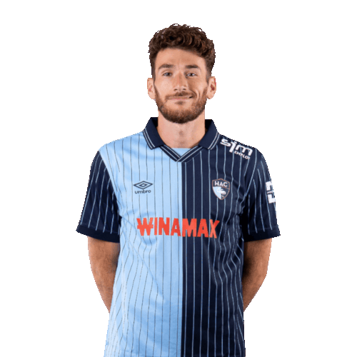 Gautier Lloris Icon