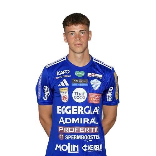 Fabian Wilfinger Icon