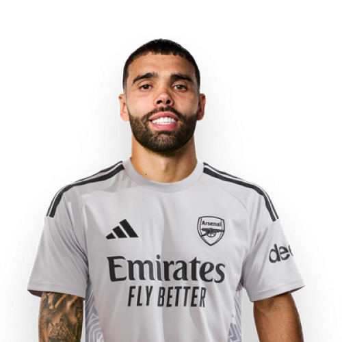 David Raya Icon