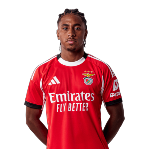 Leandro Barreiro Icon
