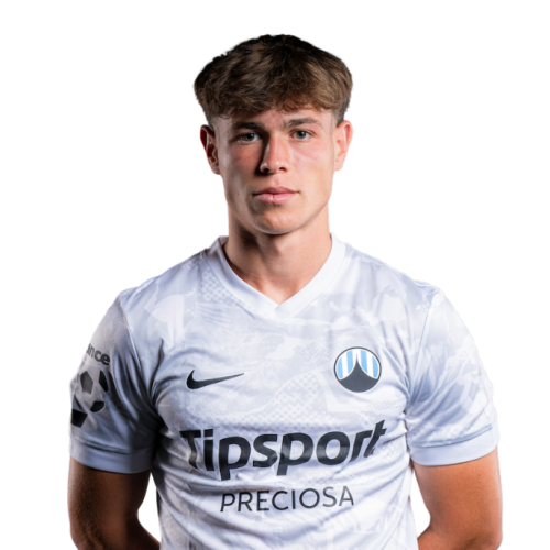 Ermin Mahmić Icon