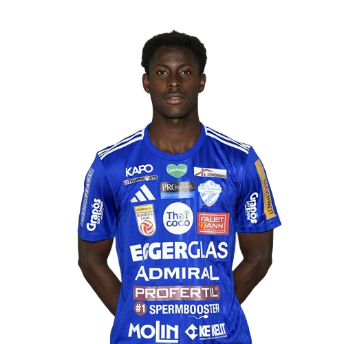 Habib Coulibaly Icon
