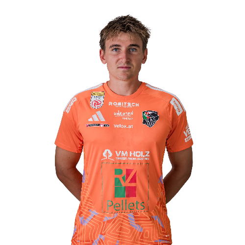 Nikolas Polster Icon