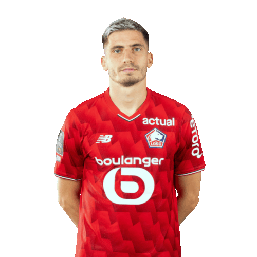 Romain Perraud Icon