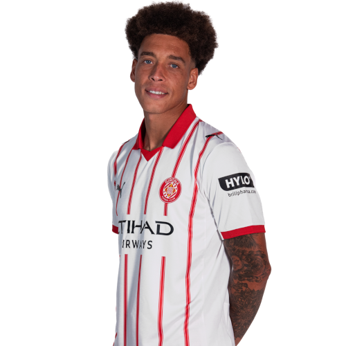 Axel Witsel Icon