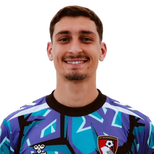 Đorđe Petrović Icon