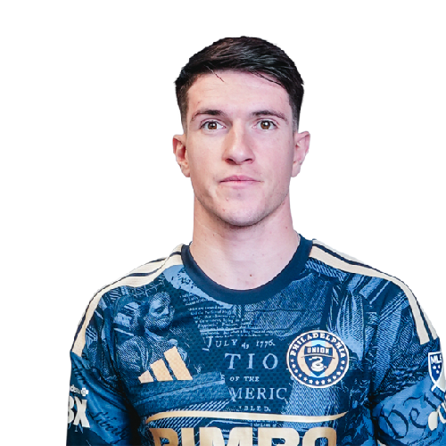 Jovan Lukić Icon