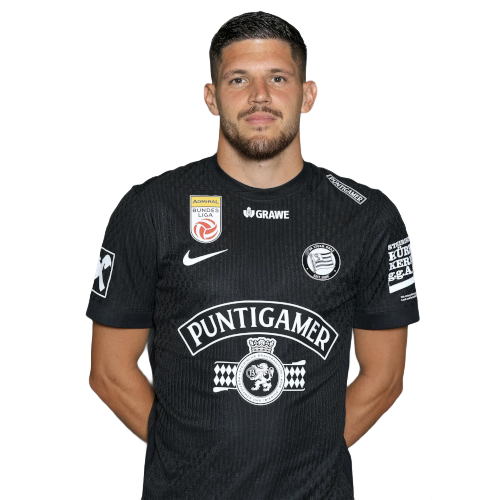 Emir Karic Icon