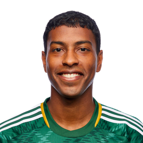 Miguel Araujo Icon