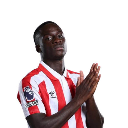 Habib Diarra Icon