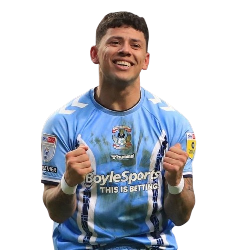 Gustavo Hamer Icon