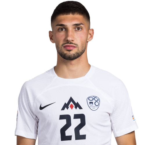 Adam Gnezda Čerin Icon