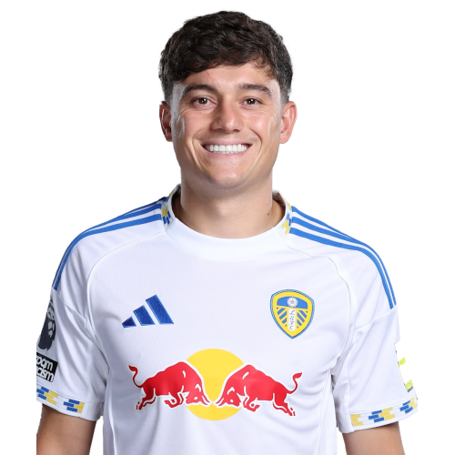 Daniel James Icon