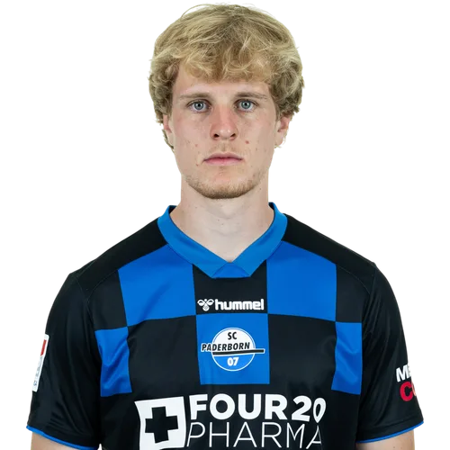 Mattes Hansen Icon