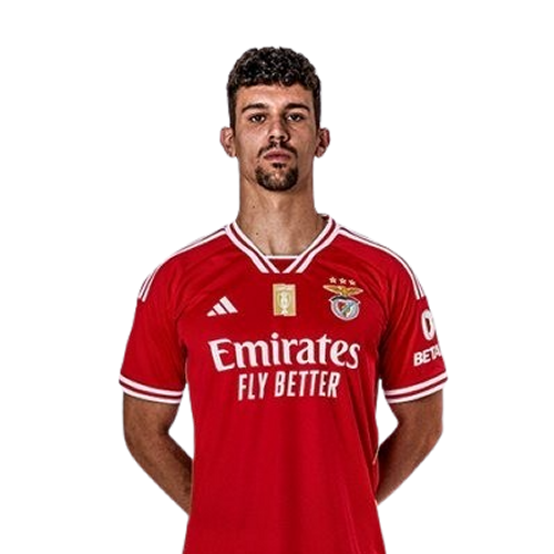 Tomás Araújo Icon