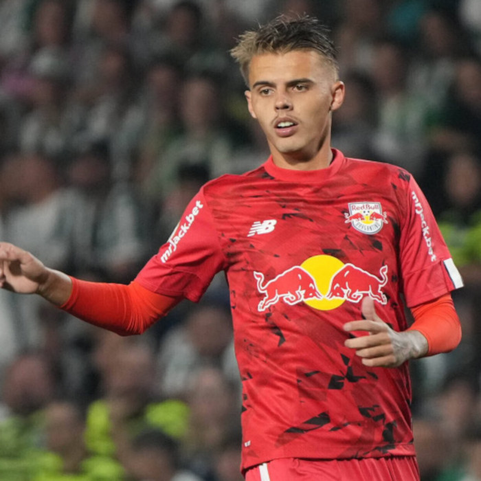 Luan Wiedthäuper Icon