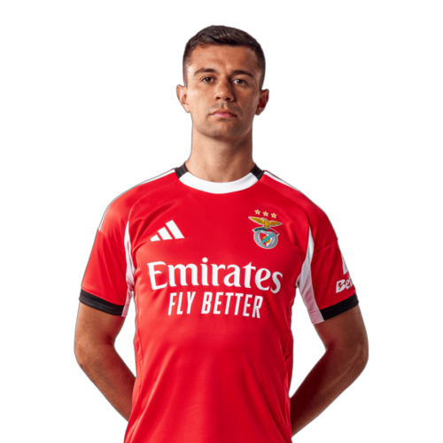 Henrique Araújo Icon