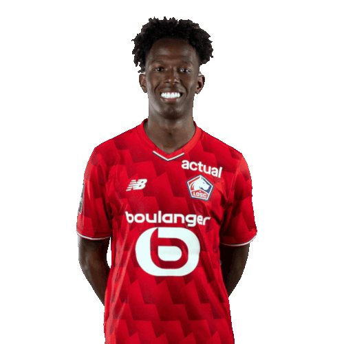 Félix Andrade Sanches Correia Icon