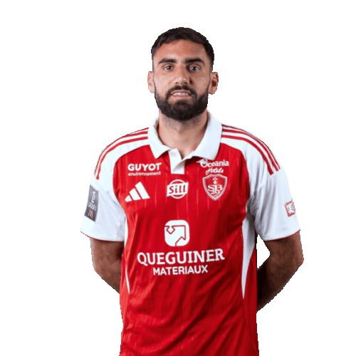 Romain Del Castillo Icon